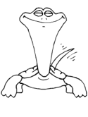 imágenes de tortuga