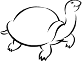 imágenes de tortuga
