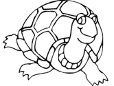 imágenes de tortuga