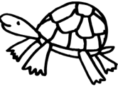 imágenes de tortuga