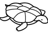 imágenes de tortuga