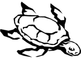 imágenes de tortuga