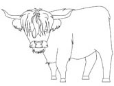 imágenes de vacas