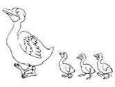 pato madre y patitos