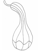 La calabaza