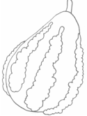 La calabaza