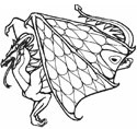 imagen de un dragón