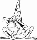 un hechicero rana