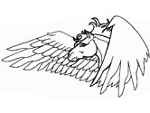 imagen de pegaso