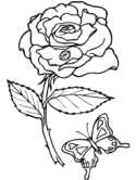 imágenes de flores