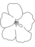 imágenes de flores