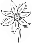 imágenes de flores
