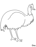 la imagen de un emu