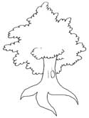 Yggdrasil