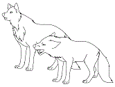Los lobos