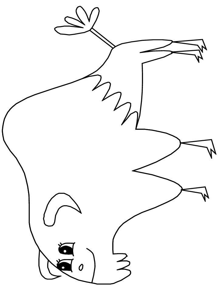template