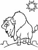 imágenes de bisonte