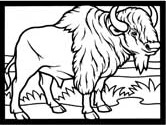 imágenes de bisonte