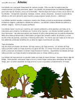 Information About Trees
