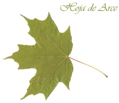 la hoja