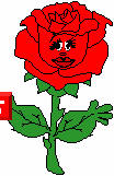 Amigo de colores el Rosa Roja