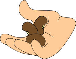 frijoles