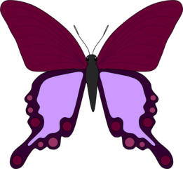 la mariposa