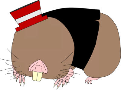 el topo