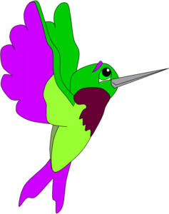 el colibrí