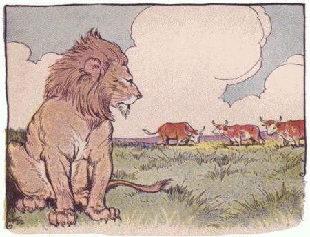 Los toros y el león