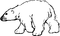 Oso polar, oso polar, ¿qué es ese ruido?