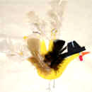 Pavo con huella de la mano con poema
