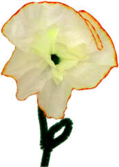 Manualidad de narciso con filtro de café