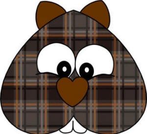 groundhog or beaver face