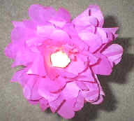 flor