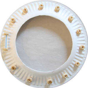 Pega cheerios alrededor de la parte exterior del plato