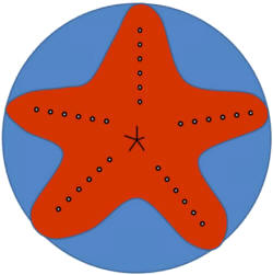 Recorta la forma de una estrella de mar del plato de papel.