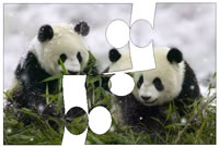 Todos los rompecabezas de pandas