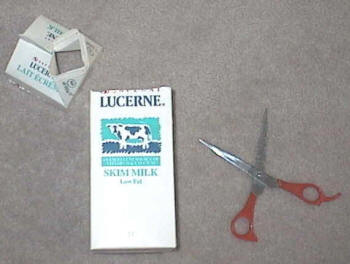 Soportes para libros con tigres de papel maché