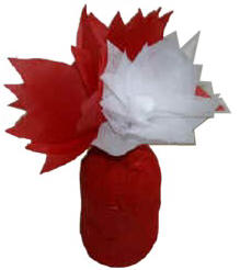 Flores de papel de seda y florero con frasco de jugo para el día de Canadá Flores de papel de seda y florero con frasco de jugo para el día de Canadá