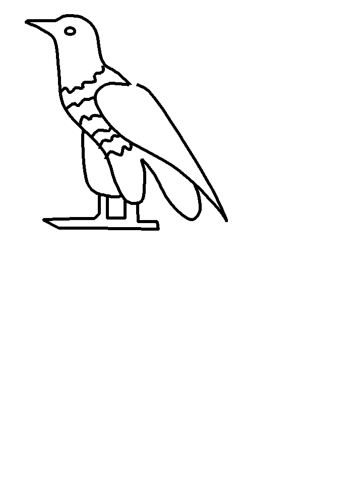 template