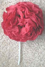 flores