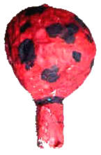 maraca